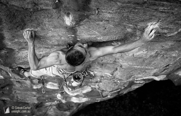 Chris Webb Parsons, Mechanical Animals.