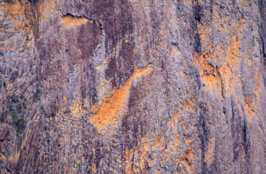 Flight of the Phoenix (H)