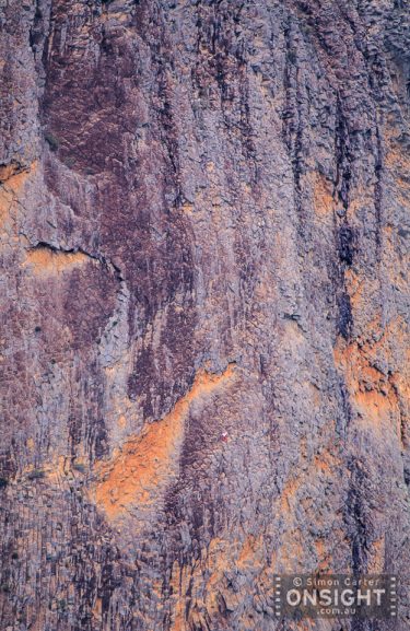 Flight of the Phoenix (V)