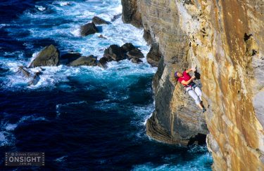 Our Terminal World 1