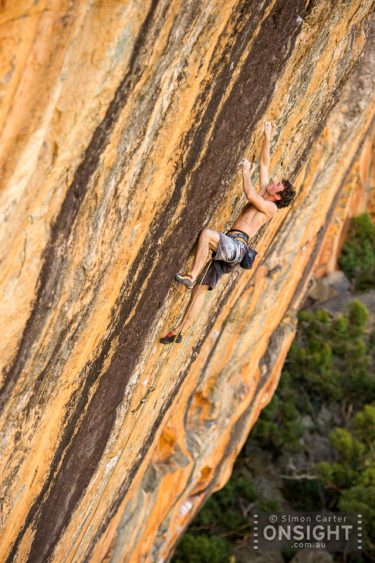 The Groove Train (v1)