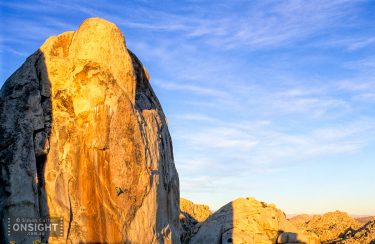 Figures on a Landscape (H)