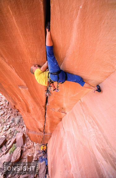 Belly Full of Bad Berries