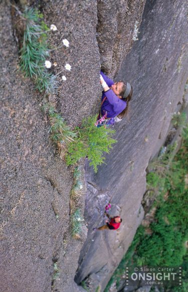 Defender of the Faith