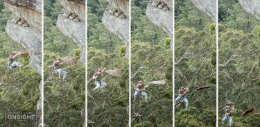 A Girl’s Best Friend