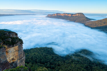 Jamison Inversion v1