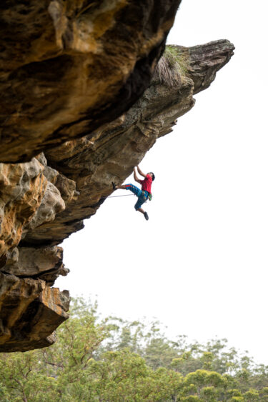 Junkyard Dog Extension